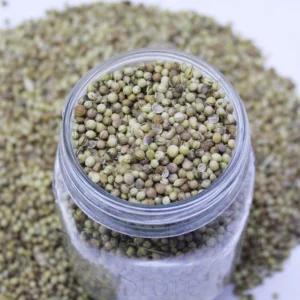 Coriander Seeds